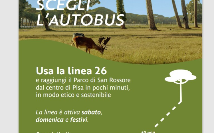  Nuova Linea 26: dalla Torre al Parco di San Rossore in 10 minuti con il bus